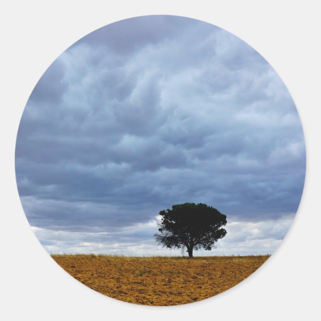 Sticker Rond Arbre dans un champ vide (Devant)