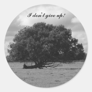Sticker Rond Arbre de la vie