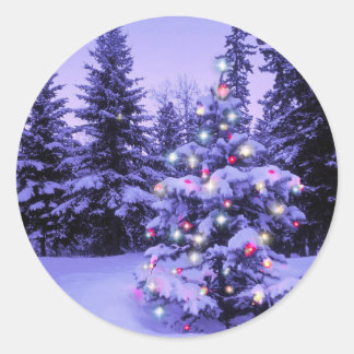 Sticker Rond Arbre de Noël dans la forêt