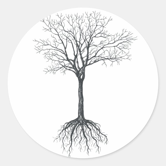 Sticker Rond Arbre sans feuille (Devant)