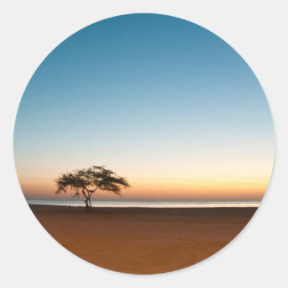 Sticker Rond Arbre solitaire au lever du soleil au Koweït
