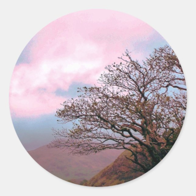 STICKER ROND ARBRES (Devant)
