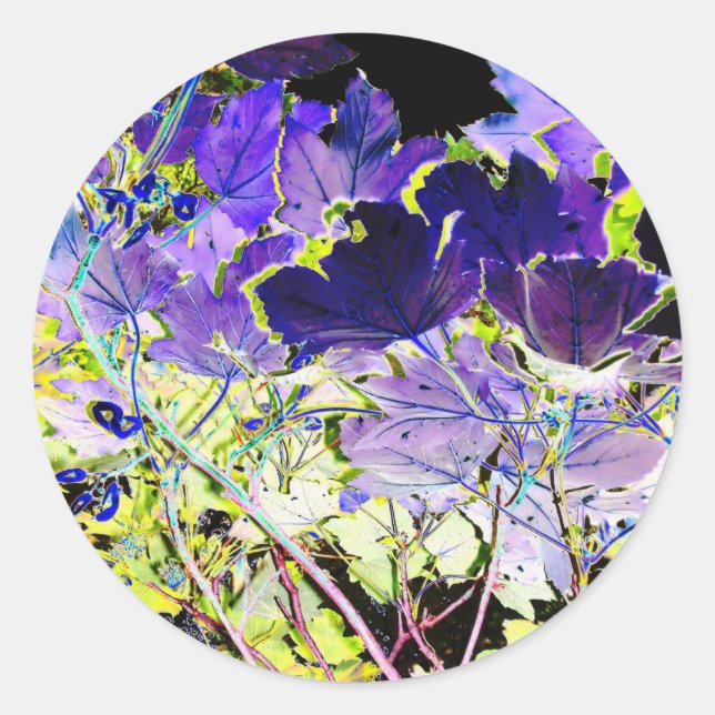 STICKER ROND ARBRES (Devant)