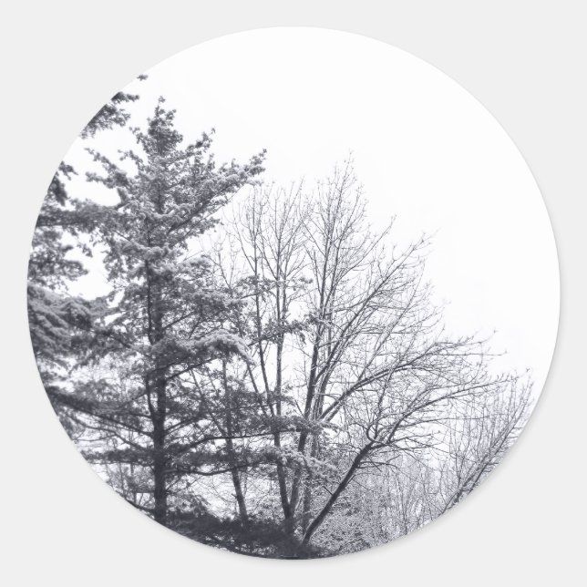 Sticker Rond Arbres couverts de neige Photo hivernale (Devant)