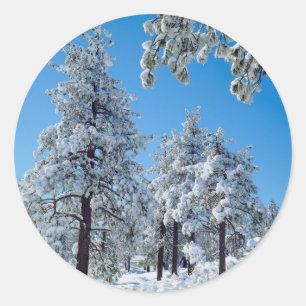 Sticker Rond Arbres enneigés dans les montagnes de Laguna