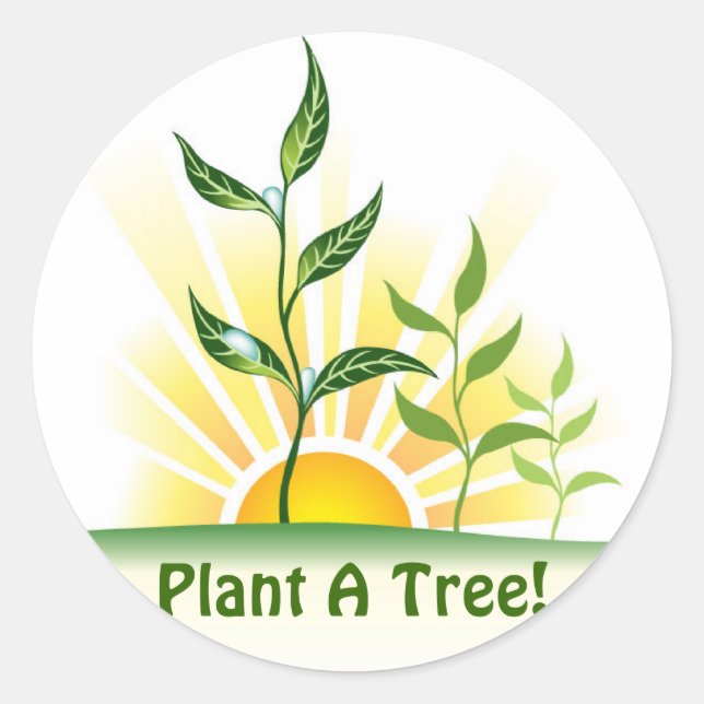 Sticker Rond Arbres futurs (Devant)
