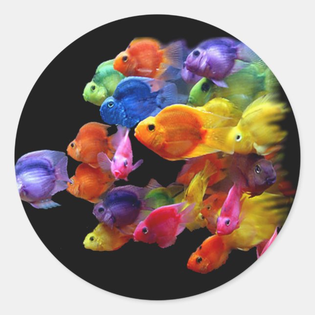 Sticker Rond Arc-en-ciel de poisson perroquet (Devant)