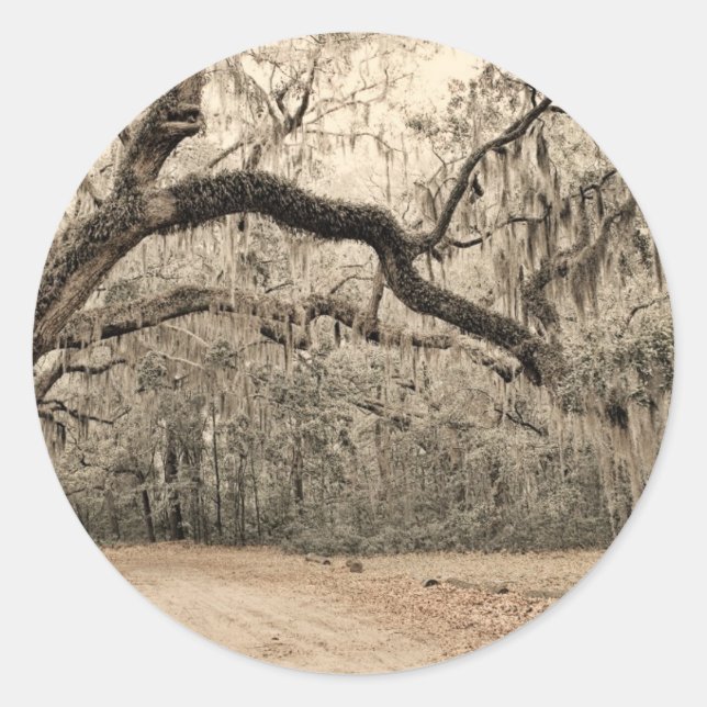 Sticker Rond Arche d'Oakes (Devant)