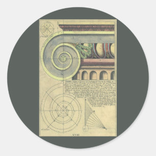 Sticker Rond Architecture vintage ; Capital Volute par Vignola