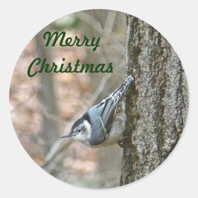 Sticker Rond Ardoise Grey Nuthatch Noël Songbird Noël (Devant)