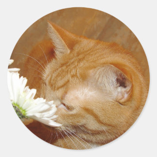 Sticker Rond Arrêtez de sentir l'autocollant marguerite