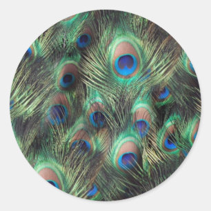 Sticker Rond Arrière - plan de plumes de roche