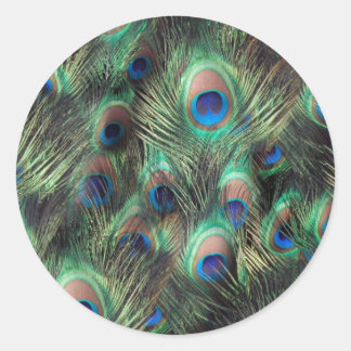 Sticker Rond Arrière - plan Peacock Feather