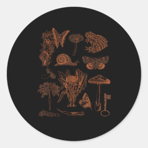 Sticker Rond Art botanique, champignons de grenouille, esthétiq