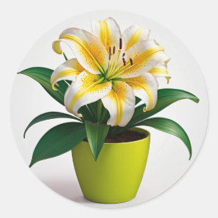 Sticker Rond Art Botanique Floral Vibrant, Fleurs Zinnia