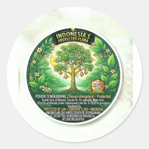 Sticker Rond Art de l'arbre sacré Tengkawang - Noix Illipe rare