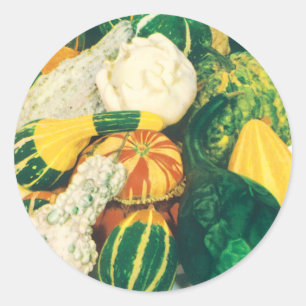 Sticker Rond Art de pochette de graines vintage, gourdes mixtes