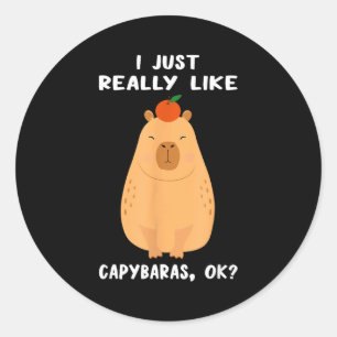 Sticker Rond Art drôle de capybara pour hommes femmes enfants r