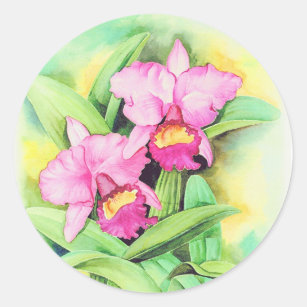Sticker Rond Art rose de fleur d'orchidée de Catleya - multi