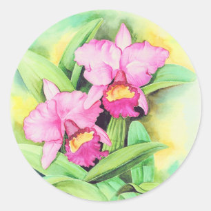 Sticker Rond Art rose de fleur d'orchidée de Catleya - multi