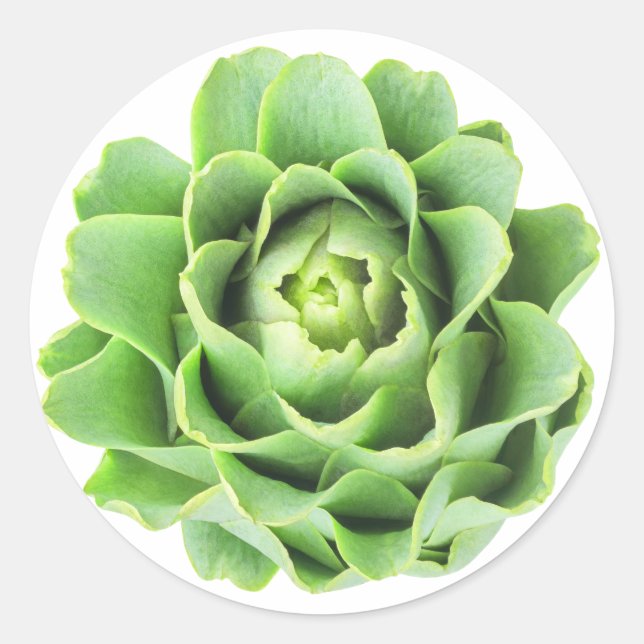 Sticker Rond Artique (Devant)