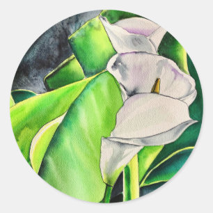Sticker Rond Arum blanc Lily aquarelle tropicale florale