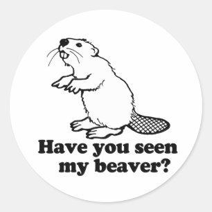 STICKER ROND AS-TU VU MON CASTOR?
