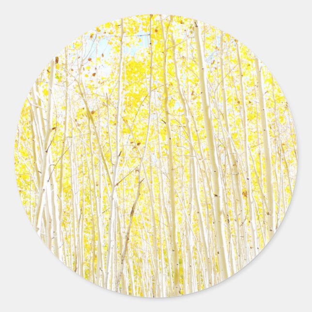 Sticker Rond Aspens de gâteau de la vanille (Devant)