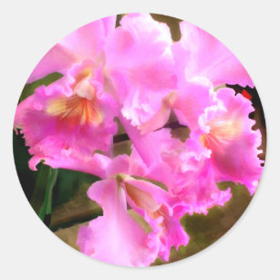 Sticker Rond Assez dans les orchidées roses de Cattleya