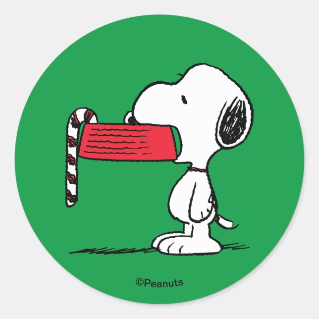 Sticker Rond Assiettes de nourriture Peanuts | Friandise de Sno (Devant)