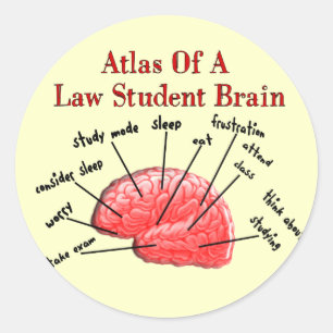 Sticker Rond Atlas de cerveau d'étudiant en droit