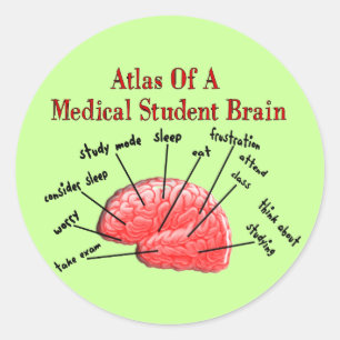 Sticker Rond Atlas du cerveau Médicale des étudiants