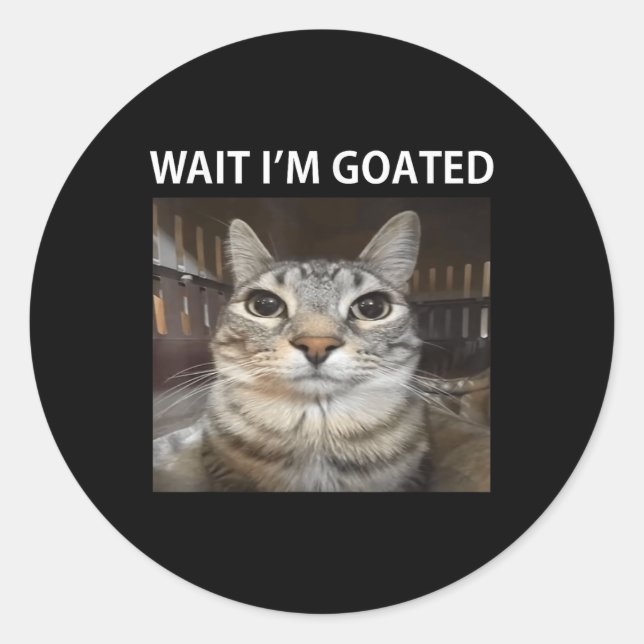 Sticker Rond Attends, Je Suis Allé Mème De Chat Silly (Devant)