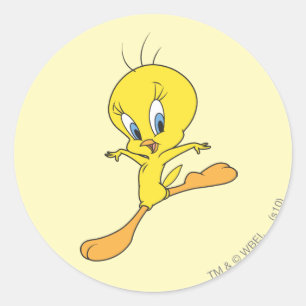 Sticker Rond Atterrissage TWEETY™