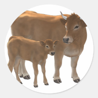 Sticker Rond Aubrac or Jersey Brown Cow & Cute Calf Cattle Ranc