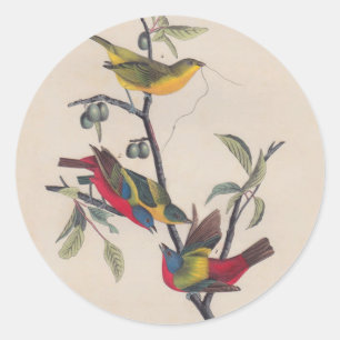Sticker Rond Audubon Peint Bunting Bird Wildlife