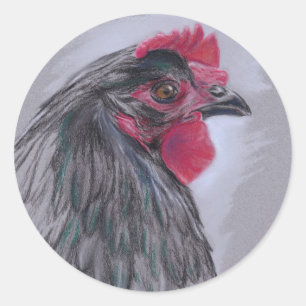 Sticker Rond Australorp noir Hen
