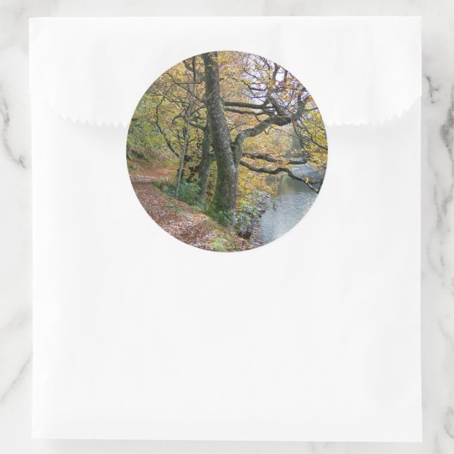 STICKER ROND AUTOMNE (Sac)