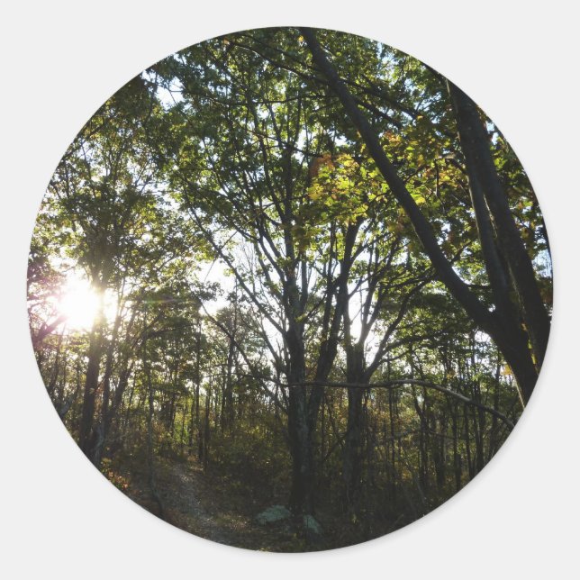 Sticker Rond Automne Matin au Parc national de Shenandoah (Devant)