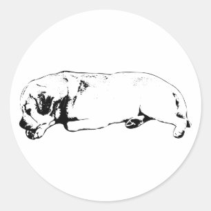 Sticker Rond Autosoins (édition chien)