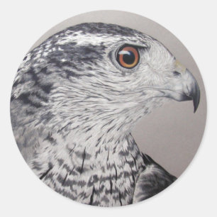 Sticker Rond Autour du nord