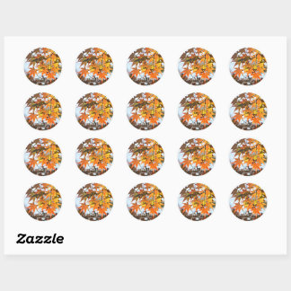 Sticker Rond Autumn Leaves
