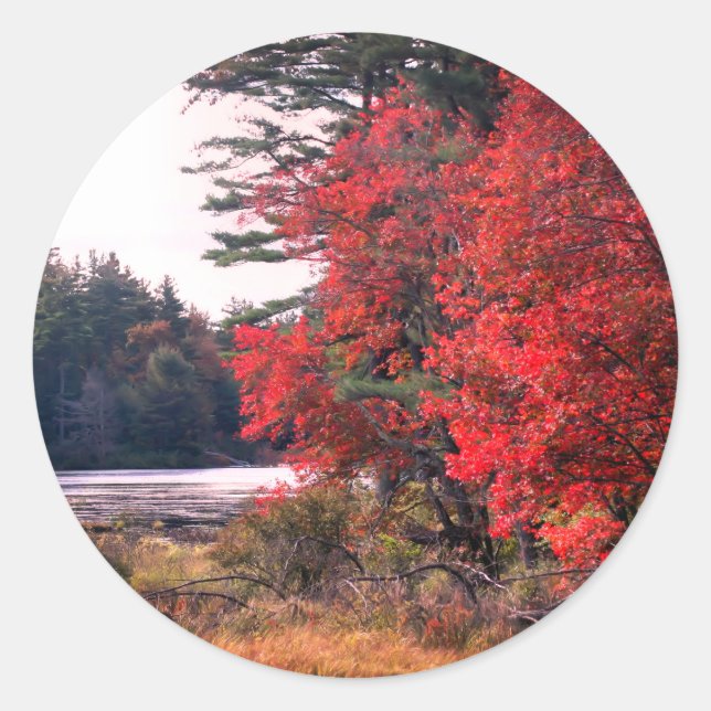 Sticker Rond Autumn Leaves Pond Nature (Devant)