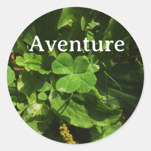 Sticker Rond Aventure Trèfle à quatre feuilles