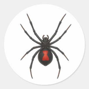 Sticker Rond Avertissement de la veuve : Spider de veuve noire