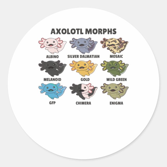 Sticker Rond Axolotls Du Monde Sweet Animaux Axolotl (Devant)