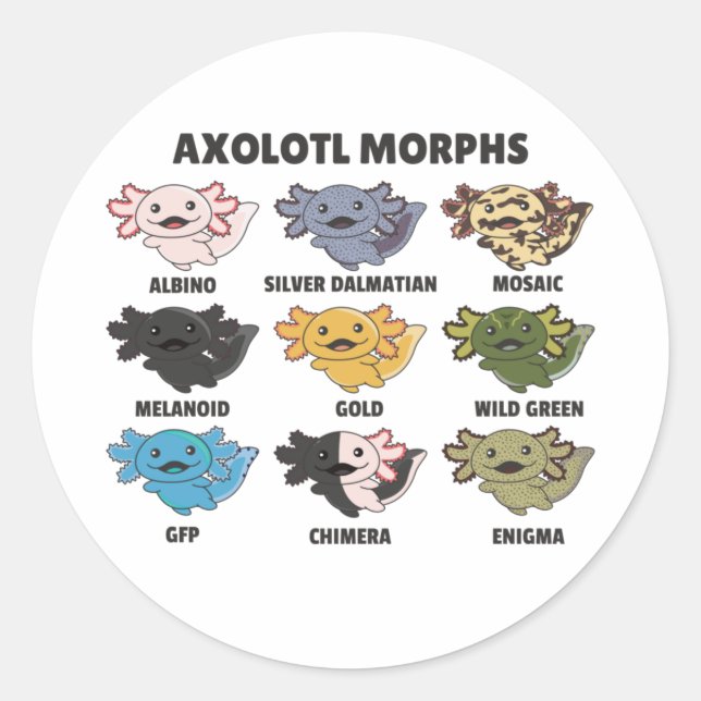Sticker Rond Axolotls Du Monde Sweet Animaux Clas Axolotl (Devant)