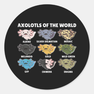 Sticker Rond Axolotls Du Monde Sweet Animaux Clas Axolotl