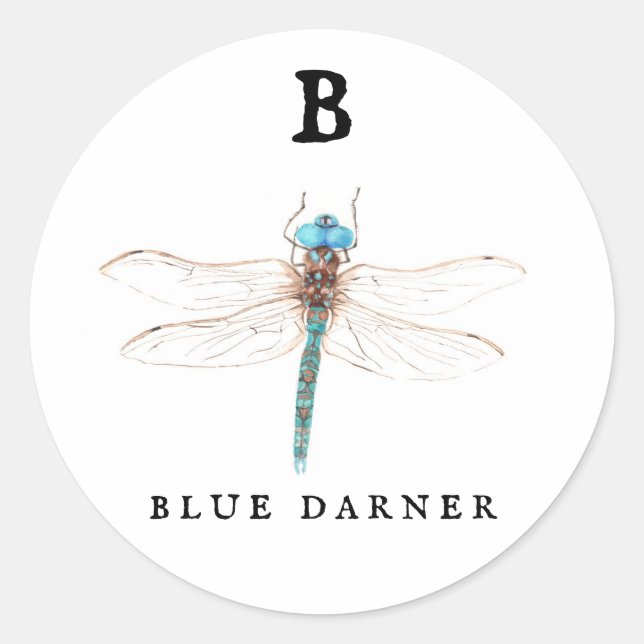 Sticker Rond "B" Bleu Darner (Devant)