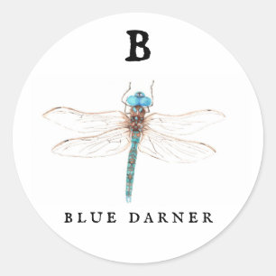 Sticker Rond "B" Bleu Darner 